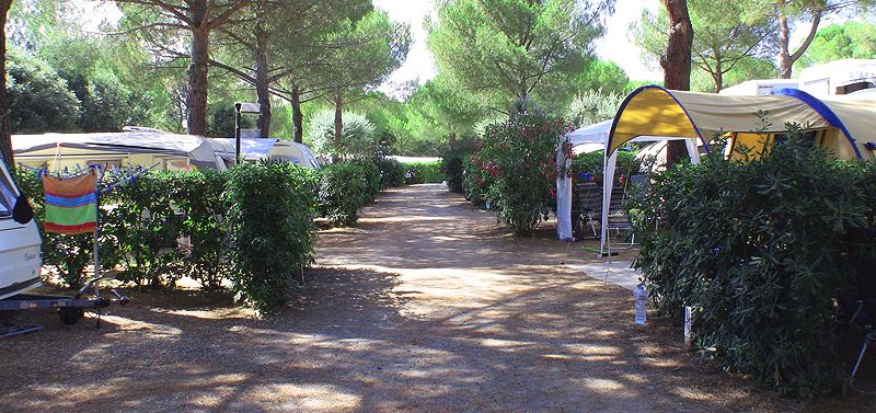 Piazzole Camping Toscana